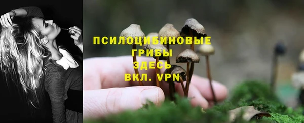 мяу мяу мука Армянск
