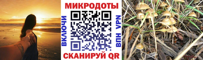 Галлюциногенные грибы GOLDEN TEACHER hydra зеркало Сухой Лог